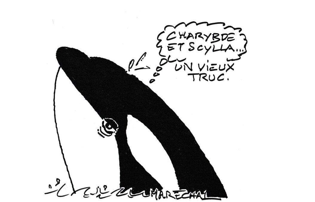 Marineland : la trahison du Gouvernement
