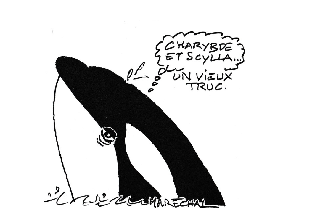 Marineland : la trahison du Gouvernement