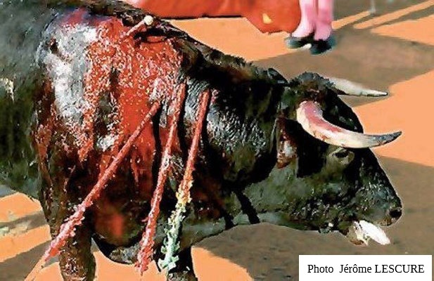 La corrida, une fabrique du mensonge
