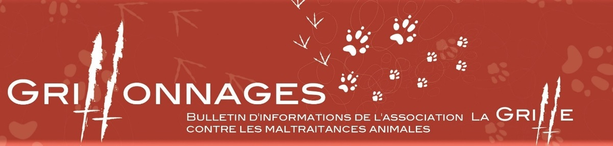 Lettre d&rsquo;info N°185 – Version téléchargeable et imprimable